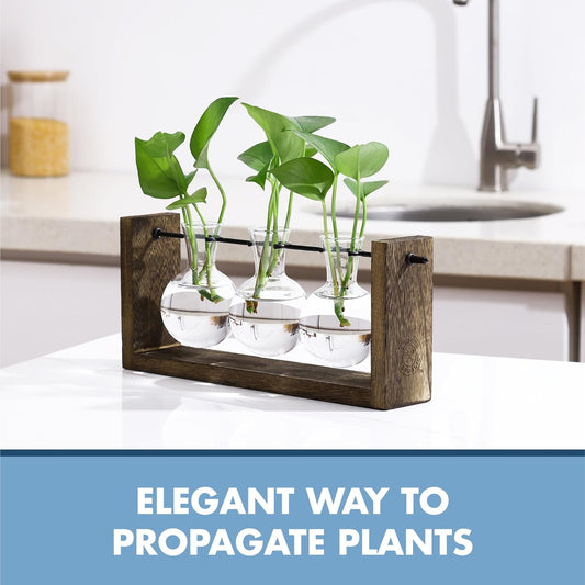 Garden Republic Plant Propagation Station, Wooden Stand with Propagation Tubes, Hanging Plant Glass Tubes Station, Elegant Home Decor, Easy Water Changes, Bamboo Color