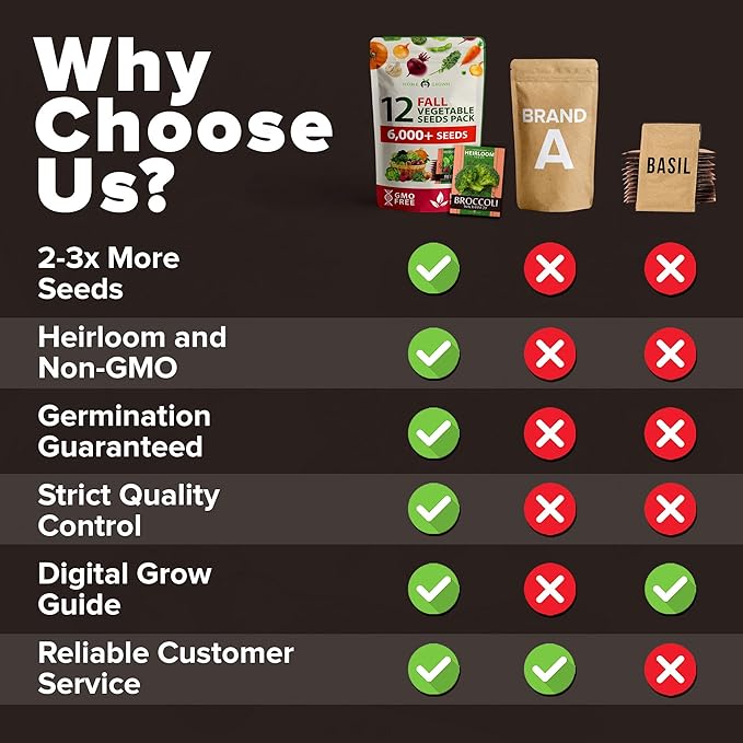 HOME GROWN 12 Fall Vegetable Seeds 6,000+ 𝗨𝗦𝗔 Heirloom 𝗡𝗢𝗡-𝗚𝗠𝗢 Seeds for Fall & Winter Planting – Beets, Broccoli, Cabbage, Kale, Onion, Pumpkin, Turnip, Lettuce, Peas & More for Home Garden