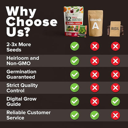 HOME GROWN 12 Fall Vegetable Seeds 6,000+ 𝗨𝗦𝗔 Heirloom 𝗡𝗢𝗡-𝗚𝗠𝗢 Seeds for Fall & Winter Planting – Beets, Broccoli, Cabbage, Kale, Onion, Pumpkin, Turnip, Lettuce, Peas & More for Home Garden