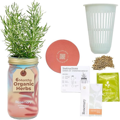 Modern Sprout Mason Garden Jar - Self-Watering Hydroponics Growing System Kit with Organic Herb Seeds - Jar Planter for Indoor Herb Garden - Seed Starter Kit - Home Decor & Gifting - Rosemary