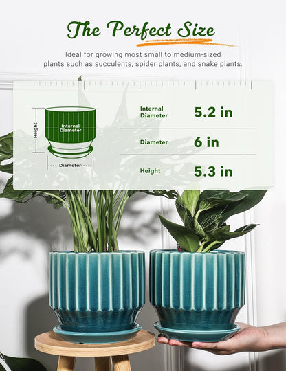 AISBUGUR Plant Pots 6 inch Ceramic Pots for Indoor Plants Set of 2 Flower Pots Unique Crackle Glaze Design Plant Pots with Drainage Hole and Saucer Come with Drainage Nets (Aqua Green)