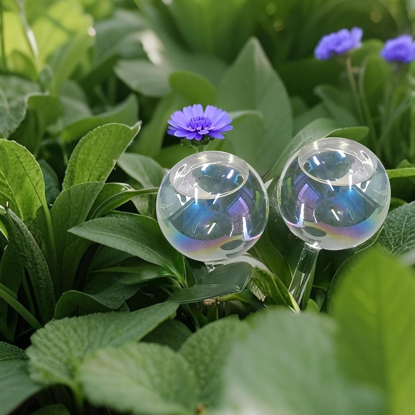 2 Pcs Glass Self Watering Globes, Iridescent Automatic Plant Waterer Bulbs Devices for Indoor & Outdoor Plants, Slow Release Watering Devices System for Various Plants (2pcs)