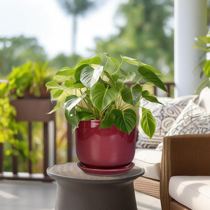 Ceramic Flower Pot for Plants - Cylinder Modern 8 Inch Plant Pot Indoor with Drainage Hole and Saucer, Home Office Room Porch Decor, Red