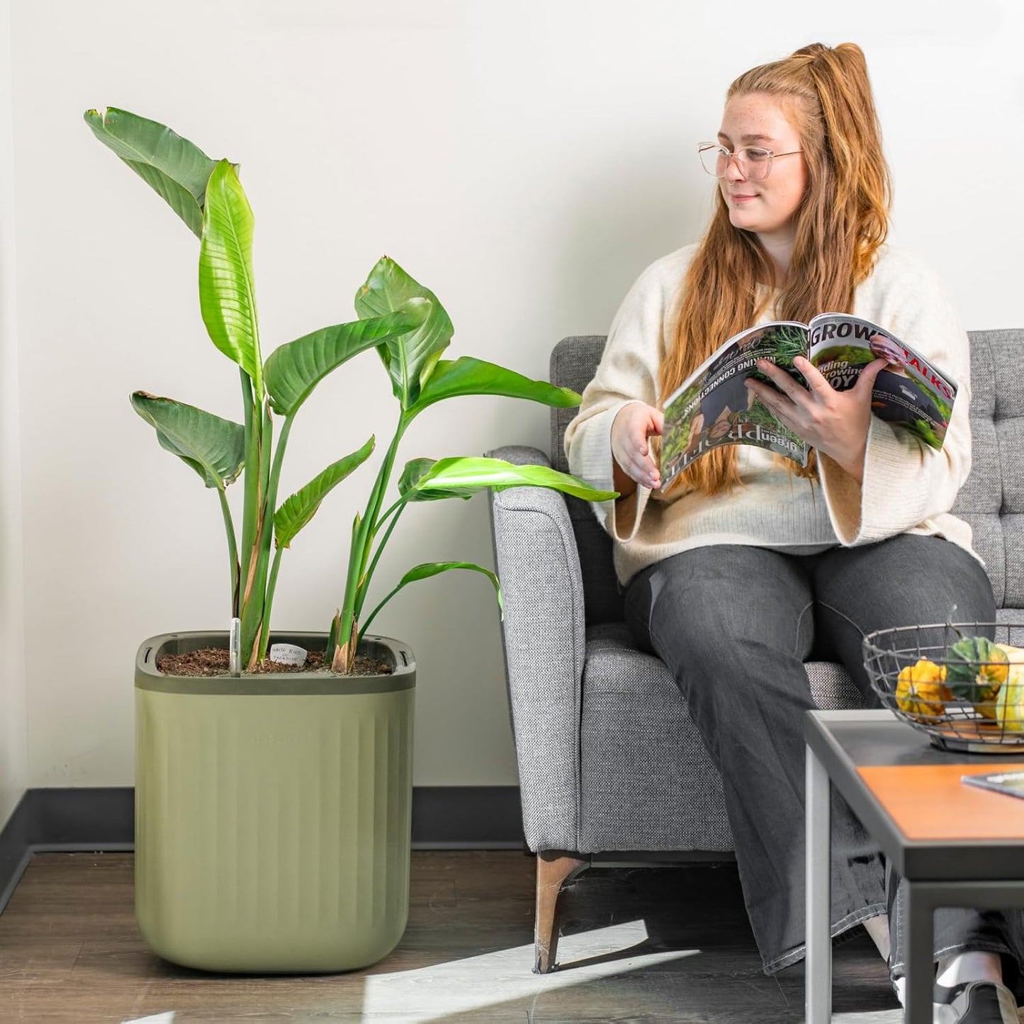 Vego garden Self Watering Pots Home Planters with Water Gauge for Effortless Indoor Plants Sage Green