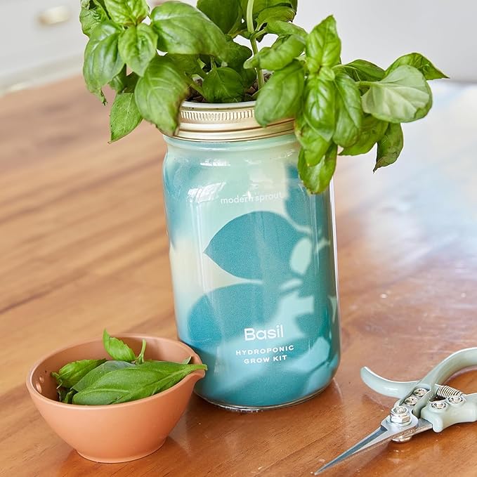 Modern Sprout Mason Garden Jar + Replant Kit - Self-Watering Hydroponics Growing System Kit w/Organic Herb Seeds - Jar Planter for Indoor Herb Garden - Seed Starter - Home Decor Gifting - Basil