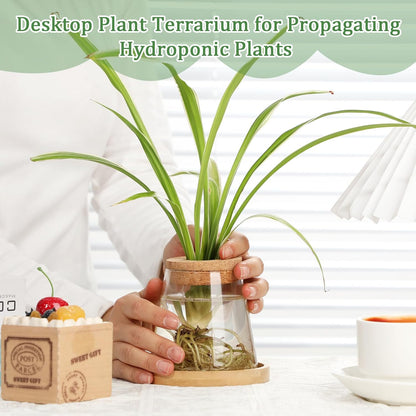 6 Pcs Plants Propagation Station Separated Desktop Plant Terrarium with Wood Lid and Stand, 3 Sizes Glass Planter Propagated Jars Propagation Vases for Indoor Home (Cute Style)