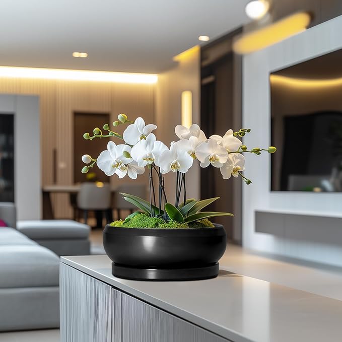 Bonsai Pots 10 Inch - Ceramic Succulent Planters Indoor Outdoor, Bonsai Pots with Drainage Hole and Tray, Modern Shallow Planter, Round Bowl Planter, Garden Decor, Garden Gift, Black