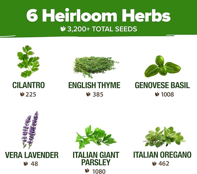 HOME GROWN 6 Herb Seeds for Planting 3,200+ Non-GMO Heirloom Seeds | Extra Large Variety Pack Herb Kit – Indoor Outdoor & Hydroponic | Culinary Seed Set | Grow Your Own Herbs | Gift for Beginners