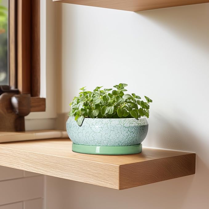 Succulent Pot 6 Inch - Ceramic Bonsai Pots Indoor Outdoor, Shallow Plant Pots with Drainage Hole and Saucer, Small Bonsai Planter, Round Bowl Planter, Desk Decor, Housewarming Gifts, Green