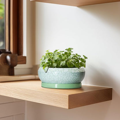 Succulent Pot 6 Inch - Ceramic Bonsai Pots Indoor Outdoor, Shallow Plant Pots with Drainage Hole and Saucer, Small Bonsai Planter, Round Bowl Planter, Desk Decor, Housewarming Gifts, Green