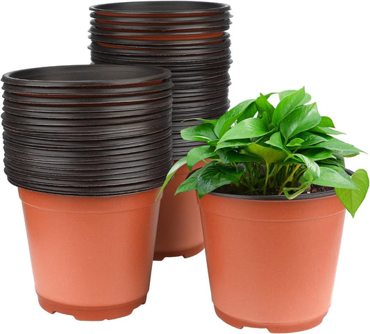 KINGLAKE 50 Pcs 6" Plastic Plants Nursery Seedlings Pot/Pots Flower Plant Container Seed Starting Pots for Plant