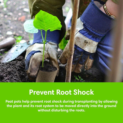 Seedling Starter Kit Germination Grow Cups and Soil (10 Pack) Biodegradable Peat Pots, Coco Coir Soil Discs, Plant Markers - Organic Grow Kit for Seed Germination, Indoor/Outdoor (1)