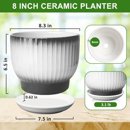 8 Inch Plant Pot, Ceramic Planter with Drainage and Saucer, Ceramic Pots for Plants, Indoor Plant pots,Ceramic Flower pots(Black + White, Plants NOT Included)