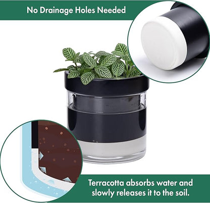 Phoenix Vine 4 Inch Self Watering Planter Pot, Black Terracotta Clay Pot with Glass Reservoir for Indoor Plants, Herbs, Flowers, Set of 4, 52-C-E-4