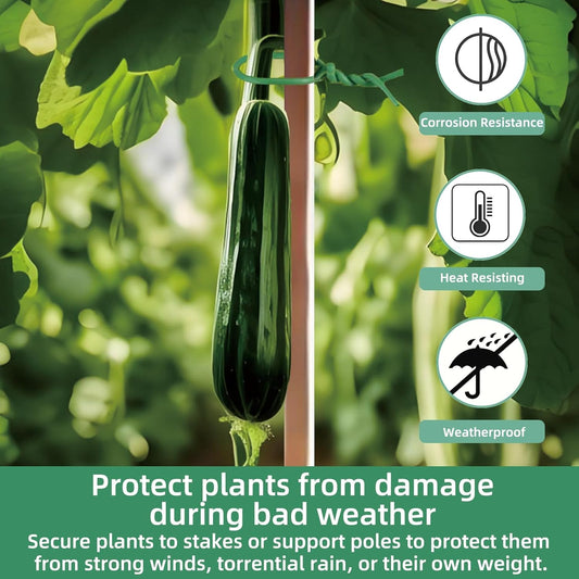 Soft Plant Ties, 66FT Green Garden Wire, Flexible Garden Twist for Climbing Plants, Tomatoes, Outdoor Plants, Vegetables, Flowers, Roses Plant Support (Diameter - 3.5MM)