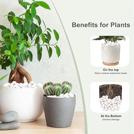 5 lbs White Rocks for Plants Indoor, 1-2 inch Decorative Garden Stone Outdoor Landscaping, Walkways, Yard, Large Polished River Rocks for Plants Pots, Vases, Crafts