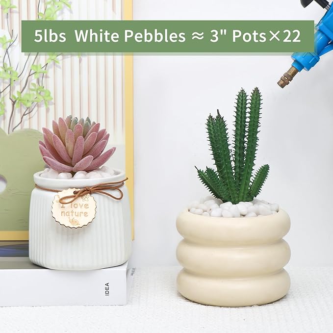 5 LB White Pebbles for Plants, 3/8 inch White Rocks for Vases Landscaping, Small Decorative Stones for Indoor Outdoor, Polished