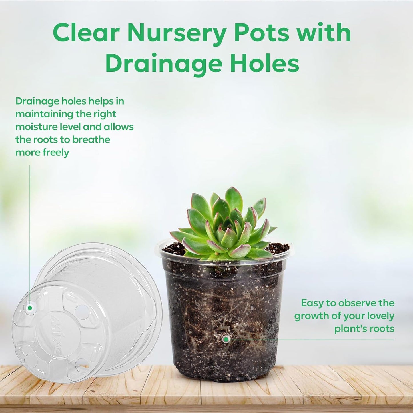 60 Packs 3.5 Inch Reinforced Clear Nursery Pots with Drainage Hole, Transparent Variety Pack Plastic Plant Pot Seedling Planter Seed Starter Flower