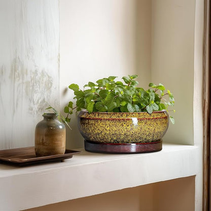 Succulent Planters 8 Inch - Ceramic Bonsai Pots with Drainage Hole and Tray, Shallow Plant Pot Indoor Outdoor, Round Succulent Pots, Planter Bowl, Porch Decor, Housewarming Gifts, Yellow