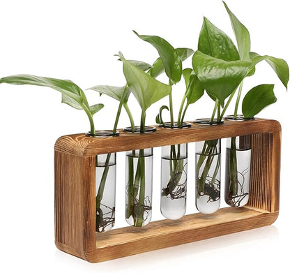Glass Plant Propagation Station with 5 Test Tubes Colorful Planter Vase Birthday Gifts for Women in Wooden Stand