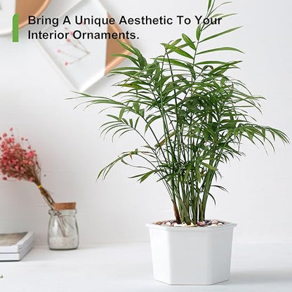 15 lbs River Rocks for Plants, 1-1/2 inch Decorative Garden Rocks Outdoor Landscaping, Large Polished Natural Stone for Walkways, Yard, Vases, Crafts