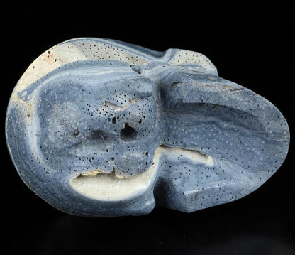 Skullis 5.0" Blue Sponge Coral Realistic Crystal Skull, Hand Carved Gemstone Fine Art Sculpture, Reiki Healing Stone Statue.2898