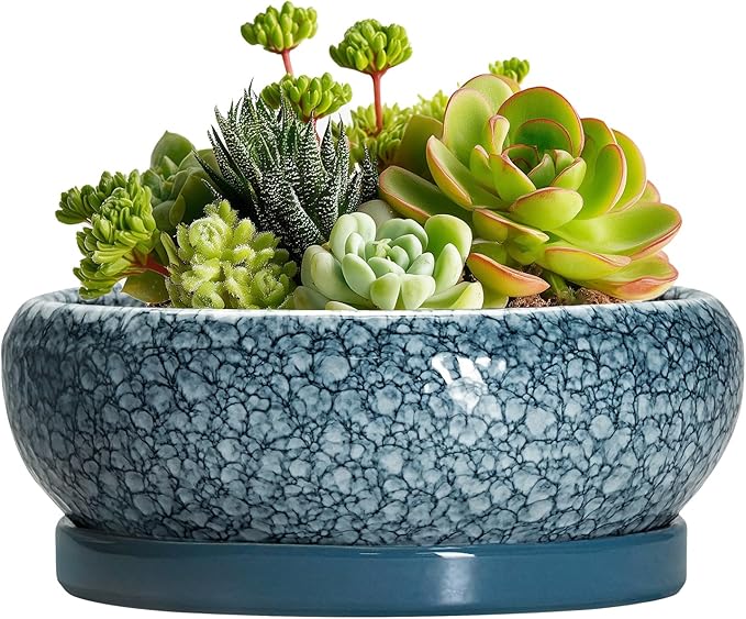 Succulent Pots 6 Inch - Ceramic Bonsai Pots with Drainage Hole and Saucer, Shallow Planters for Indoor Outdoor, Small Bonsai Pot, Round Planter Bowl, Porch Room Decor, Plant Lover Gift, Blue