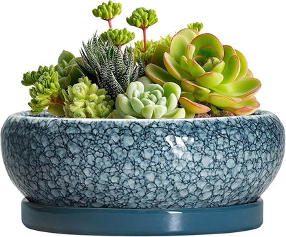 Succulent Pots 6 Inch - Ceramic Bonsai Pots with Drainage Hole and Saucer, Shallow Planters for Indoor Outdoor, Small Bonsai Pot, Round Planter Bowl, Porch Room Decor, Plant Lover Gift, Blue