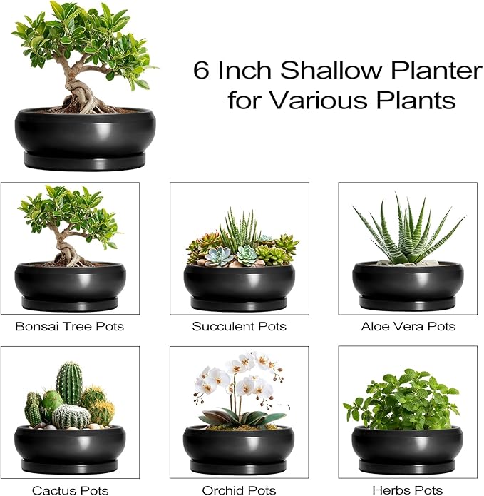 Bonsai Tree Pots Small - 6 Inch Ceramic Succulent Pots for Indoor Plants Outdoor, Round Planter with Drainage Hole and Saucer, Shallow Planter Bowl, Bathroom Decor, House Warming Gift, Black