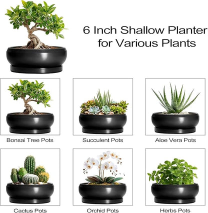 Bonsai Tree Pots Small - 6 Inch Ceramic Succulent Pots for Indoor Plants Outdoor, Round Planter with Drainage Hole and Saucer, Shallow Planter Bowl, Bathroom Decor, House Warming Gift, Black