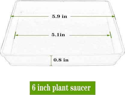 Square Plant Saucer 6inch 5 Pack, Plastic Plant Saucers, Plant Water Dray Tray, 8 10 12 14 16 18 20 Inch Garden Planters for for Pots Base Indoors and Outdoors Plants（6 inch Black）