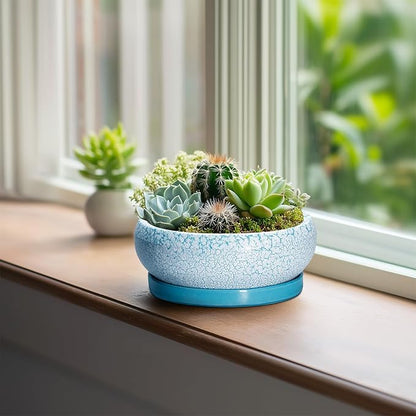 Bonsai Pots Small - 6 Inch Succulent Pots with Drainage Hole and Saucer, Succulent Planters for Indoor Outdoor, Shallow Plant Pot, Round Bonsai Planter, Office Decor, Plant Lover Gifts, Blue