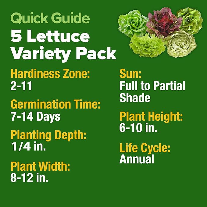 HOME GROWN 5 Lettuce Seed Pack – 3950 Heirloom Vegetable Seeds for Indoor, Outdoor, or Hydroponic Growing – Black Seeded Simpson, Red Romaine, Bibb, Buttercrunch, Iceberg Varieties (Lactuca Sativa)