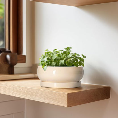 Succulent Pots 8 Inch - Ceramic Bonsai Pots with Drainage Hole and Tray, Shallow Plant Pot Indoor Outdoor, Bonsai Tree Pot, Round Modern Planter Bowl, Garden Decor, Gardening Gift, Beige