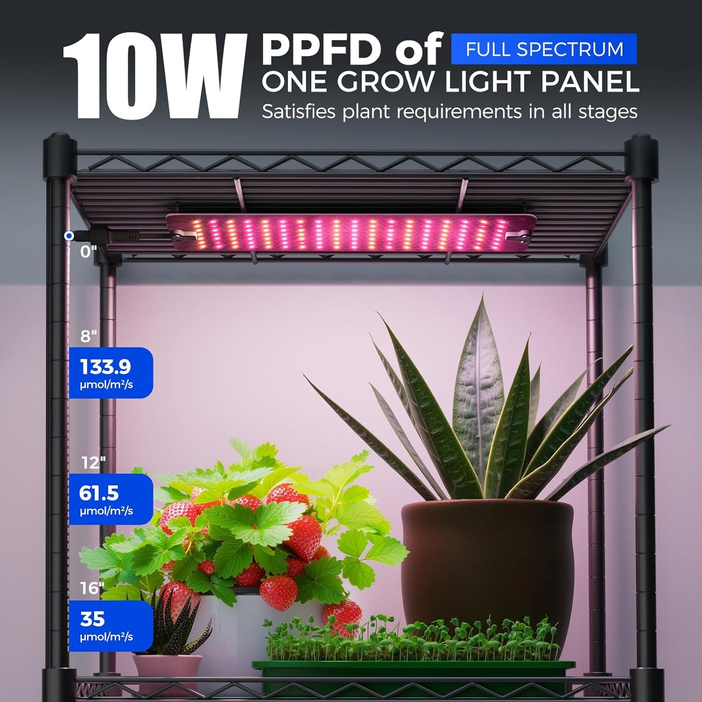 Barrina CX83 Plant Shelf with Grow Light, 5-Tier, Plant Stand with 10W Ultra-Thin Grow Light Panels for Hydroponics, Seedlings, Succulents, Flowers, Veg, 3/6/12h Timer, 15.7" L x 11.8" W x 59.1" H