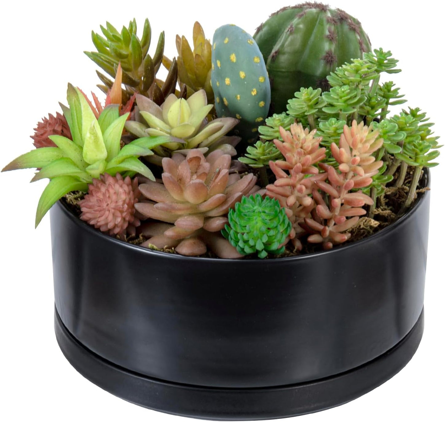 MyGift 8 Inch Black Ceramic Succulent Planter Pot - Decorative Flower Plant Bowl with Removable Saucer
