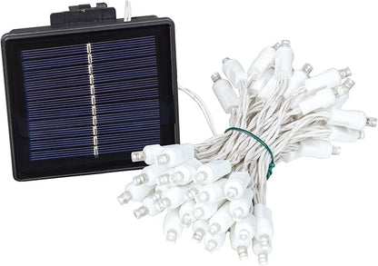 Novelty Lights 50 Light Solar Powered LED Outdoor Mini Light String, 12.5 Feet on White Wire, Pure White 5mm Bulbs, Automatic Dusk to Dawn Operation