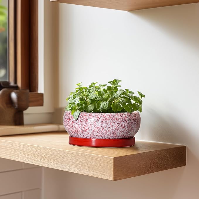 Bonsai Pots Small - 6 Inch Ceramic Succulent Pots with Drainage Hole and Ceramic Saucer, Succulent Planters Indoor Outdoor, Shallow Round Planter, Apartment Decor, Housewarming Gifts, Red