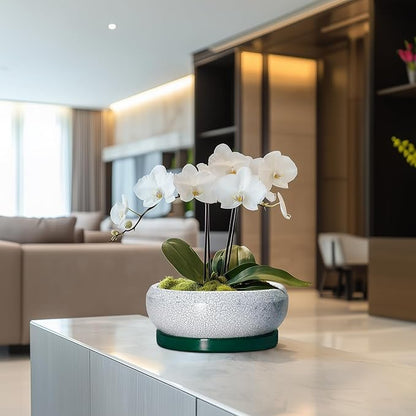 Bonsai Tree Pots - 8 Inch Ceramic Succulent Pot with Drainage Hole and Tray, Bonsai Pots, Shallow Planters for Indoor Outdoor, Round Planter Bowl, House Decor, Gifts for Plant Lovers, Green