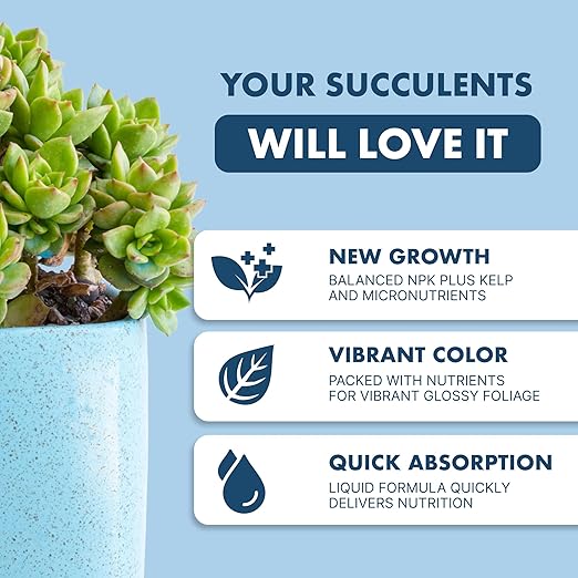 Succulent Plant Food for Succulents, Cactus, Jade and Aloe, Liquid Houseplant Fertilizer 8 oz (250mL)