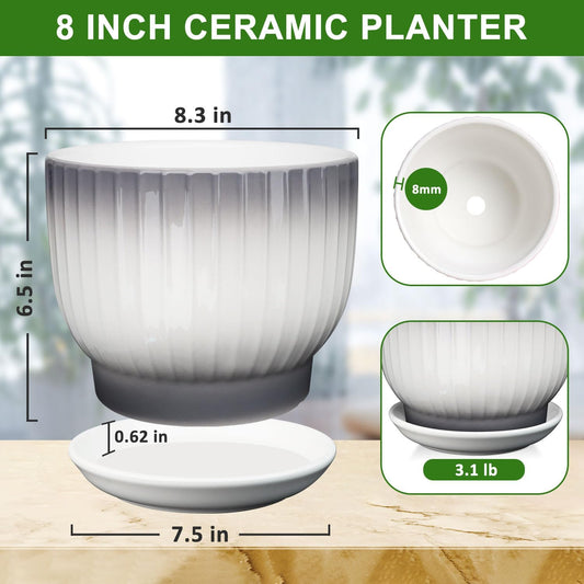 8 Inch Plant Pot, Ceramic Planter with Drainage and Saucer, Ceramic Pots for Plants, Indoor Plant pots,Ceramic Flower pots(Gray + White, Plants NOT Included)
