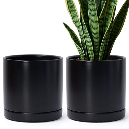 D'vine Dev Set of 2 Plants Pots, 8.2 Inch Ceramic Planter Pot for Plants with Drainage Hole and Saucer, Black, 94-V-D-2