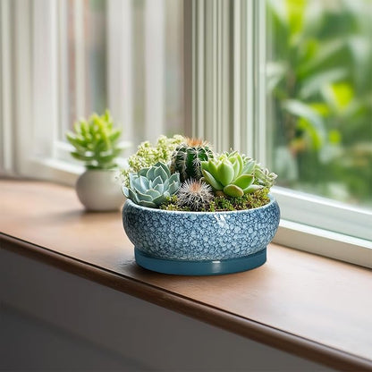 Succulent Pots 6 Inch - Ceramic Bonsai Pots with Drainage Hole and Saucer, Shallow Planters for Indoor Outdoor, Small Bonsai Pot, Round Planter Bowl, Porch Room Decor, Plant Lover Gift, Blue