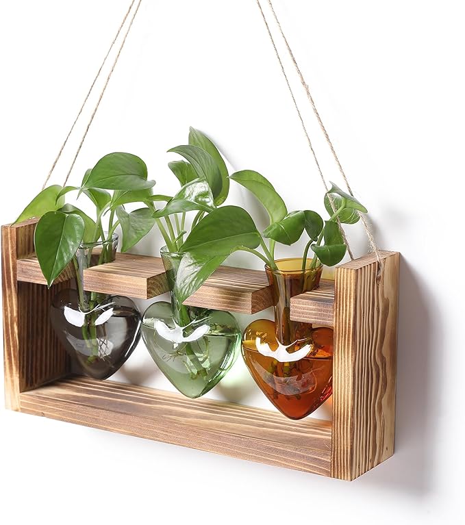 Plant Terrarium Propagation Stations Hydroponics Home Garden Decoration Gift for Women with Wooden Stand Heart Shaped Colored Glass Vase