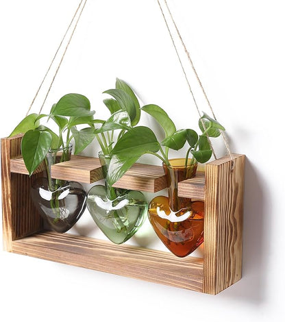 Plant Terrarium Propagation Stations Hydroponics Home Garden Decoration Gift for Women with Wooden Stand Heart Shaped Colored Glass Vase