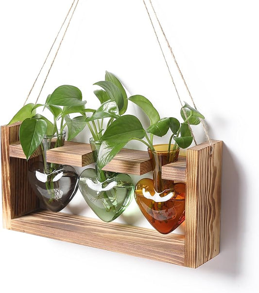 Plant Terrarium Propagation Stations Hydroponics Home Garden Decoration Gift for Women with Wooden Stand Heart Shaped Colored Glass Vase