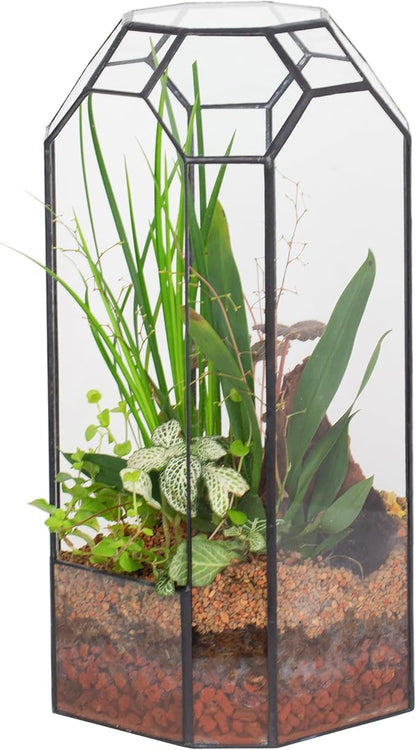 NCYP Open Glass Geometric Terrarium for Plant, Succulent, Cacti - 5.5"x5.5"x12.8" Indoor Tall Octagon Glass Planter, Home Garden Office Vintage Decoration, Micro Landscape (Terrarium Only)