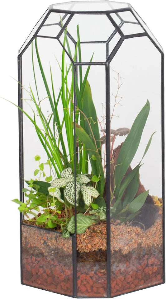 NCYP Open Glass Geometric Terrarium for Plant, Succulent, Cacti - 5.5"x5.5"x12.8" Indoor Tall Octagon Glass Planter, Home Garden Office Vintage Decoration, Micro Landscape (Terrarium Only)