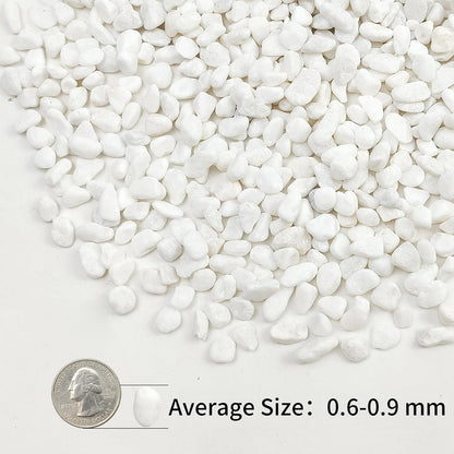 10lbs White Pebbles for Landscaping, 3/8inch Small Rocks for Succulent Cactus Planters, Natural Polished Pebbles, River Rocks for Plants, Vases, Garden