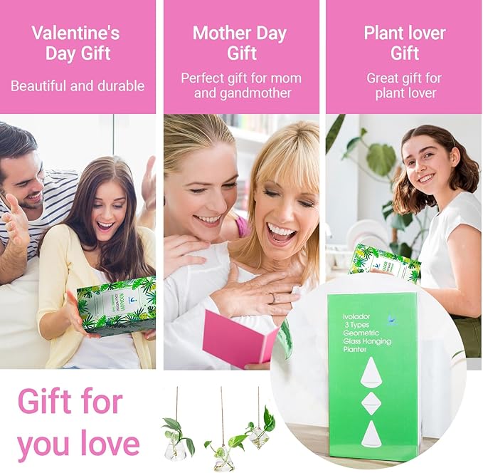 Propagation Station, Plants Terrarium, Plants Lover Gifts for Women,Plant Cutting Holder Home décor,Gifts for Women,House Warming New Home-3 Geometric Shape